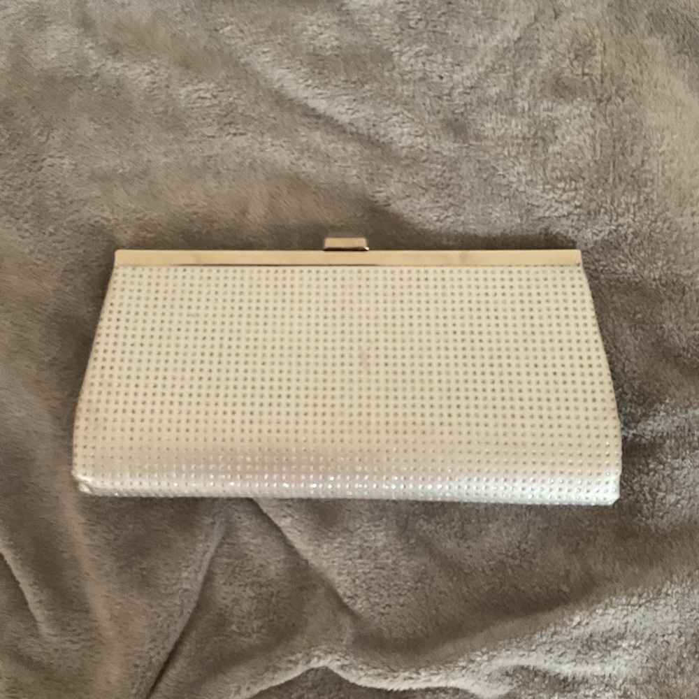 Elegant silver Clutch Bag
